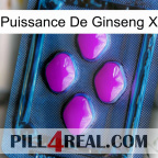 Ginseng Power X 04